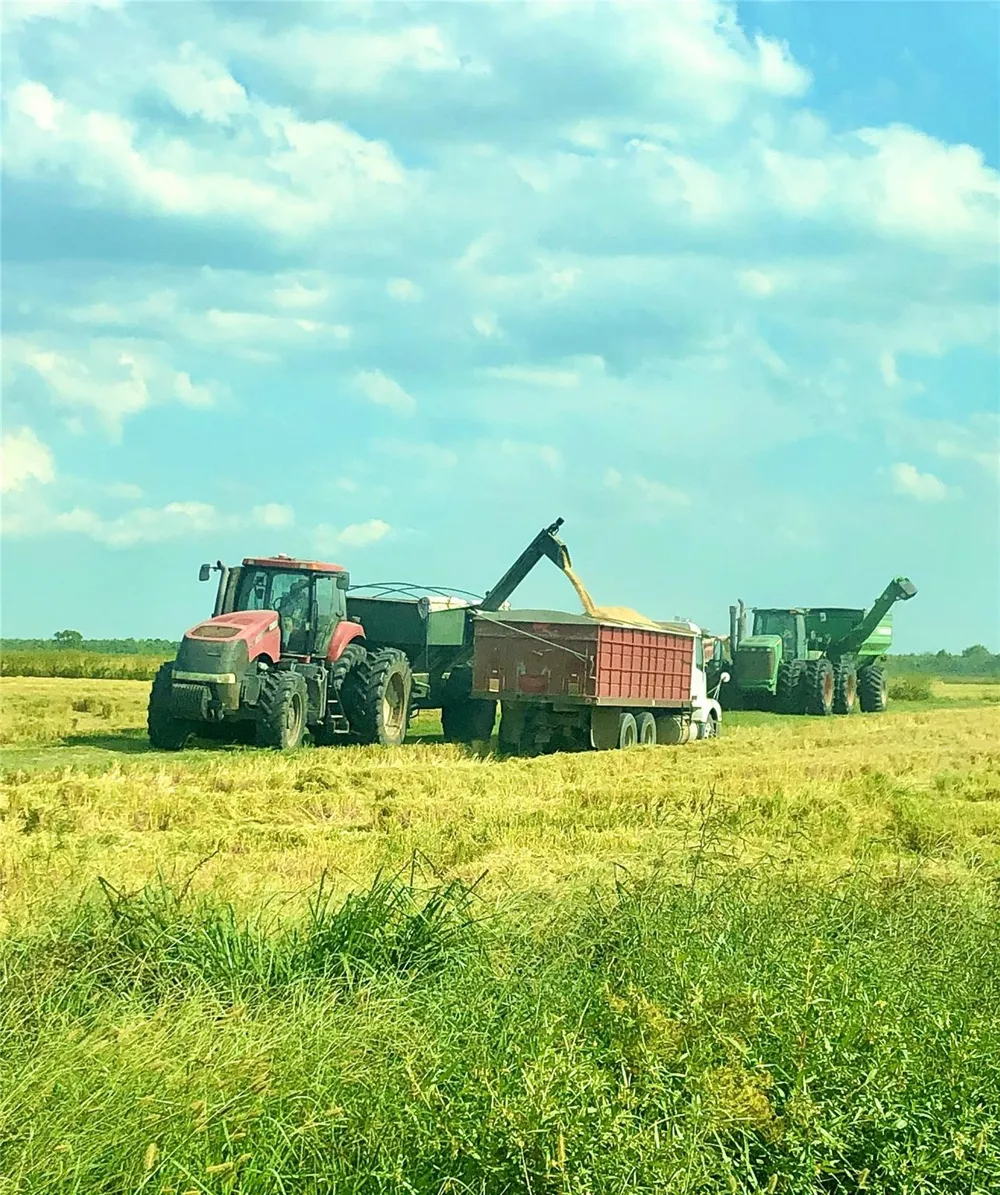Hwy 65 And Fm 1724 Anahuac, TX 77514