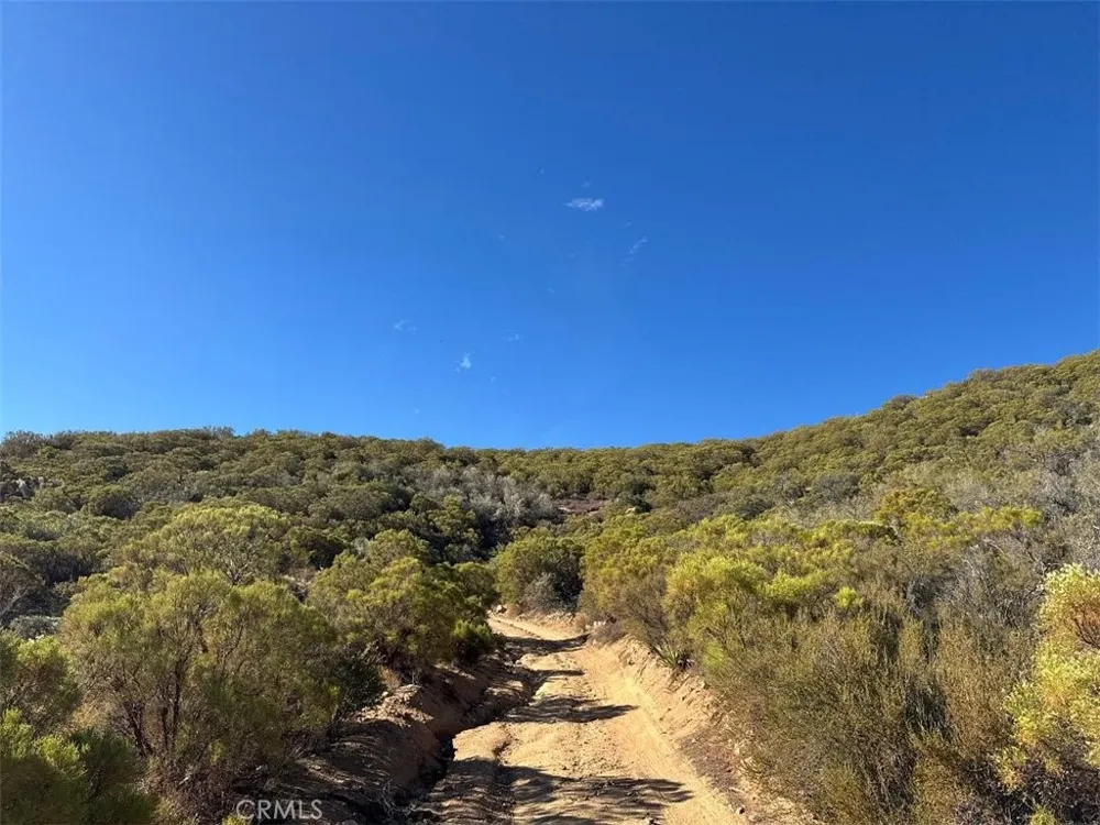 Chapman Road Anza, CA 92539