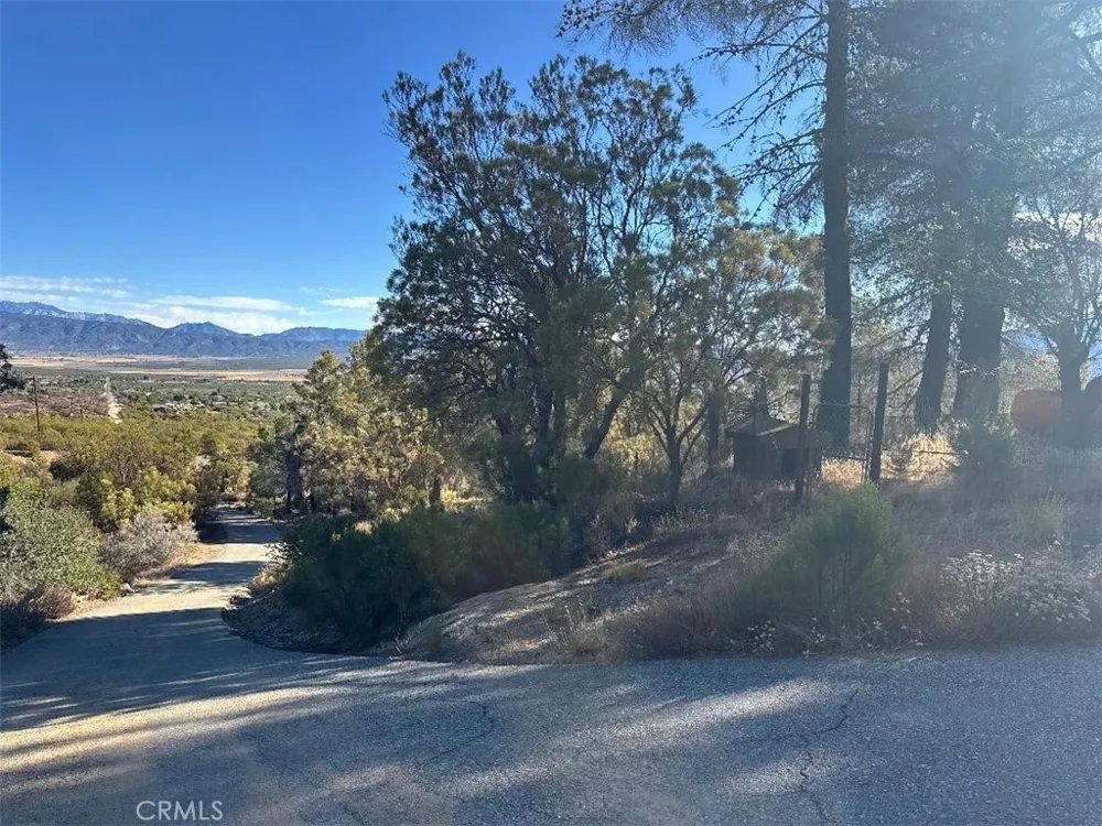 Chapman Road Anza, CA 92539