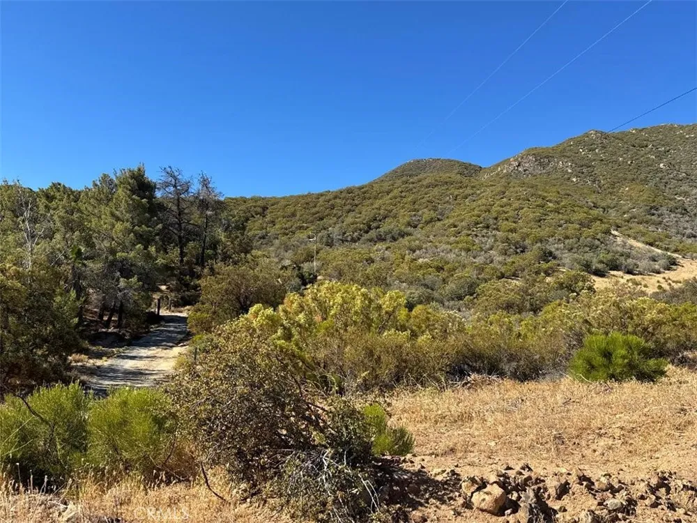 Chapman Road Anza, CA 92539