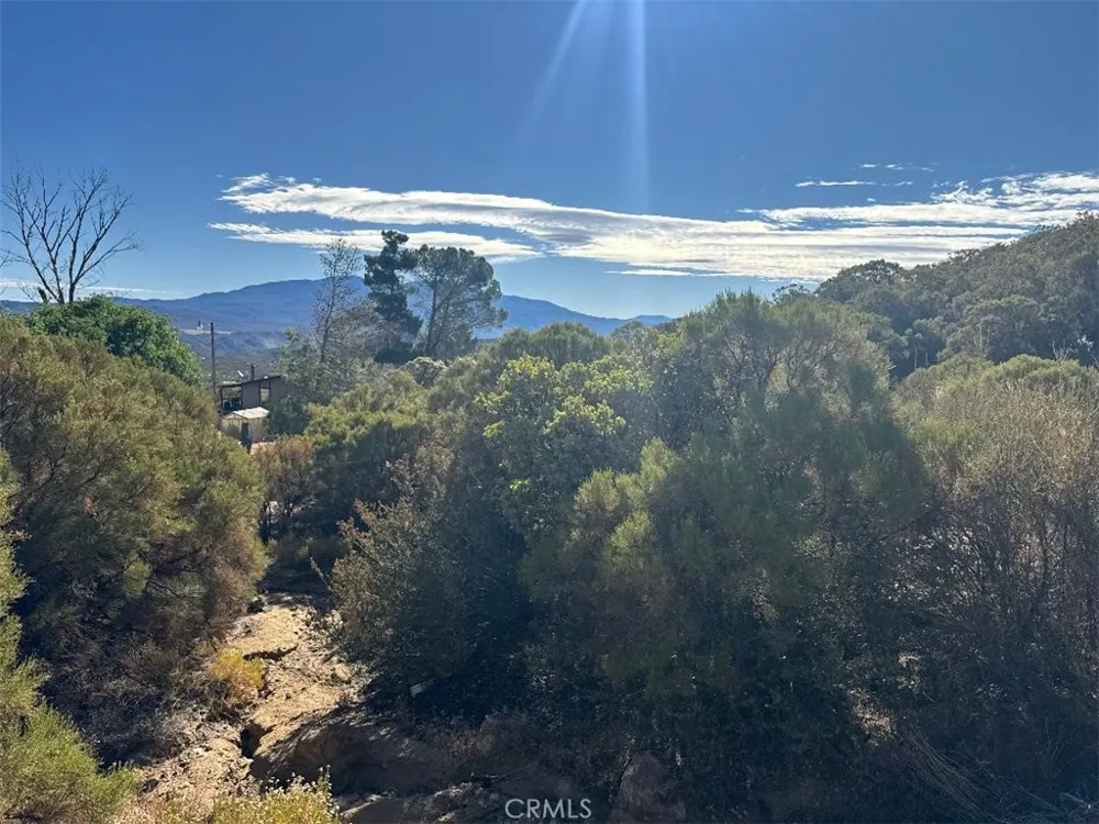 Chapman Road Anza, CA 92539