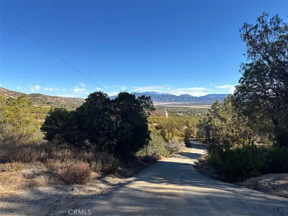 Chapman Road Anza, CA 92539