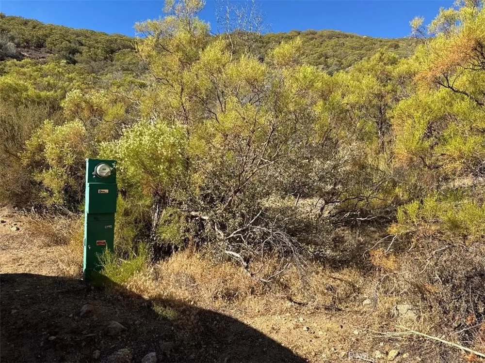Chapman Road Anza, CA 92539