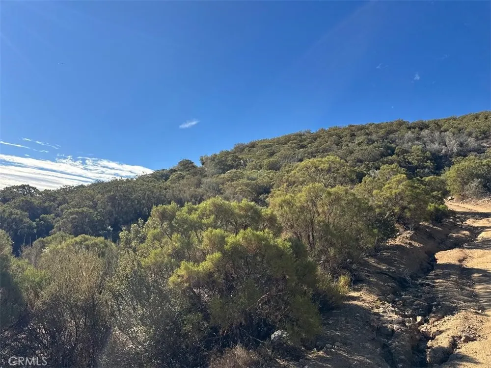 Chapman Road Anza, CA 92539