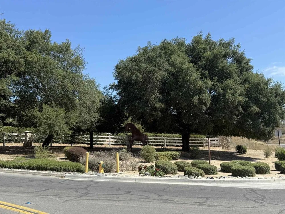 Calle Huerta Murrieta, CA 92562