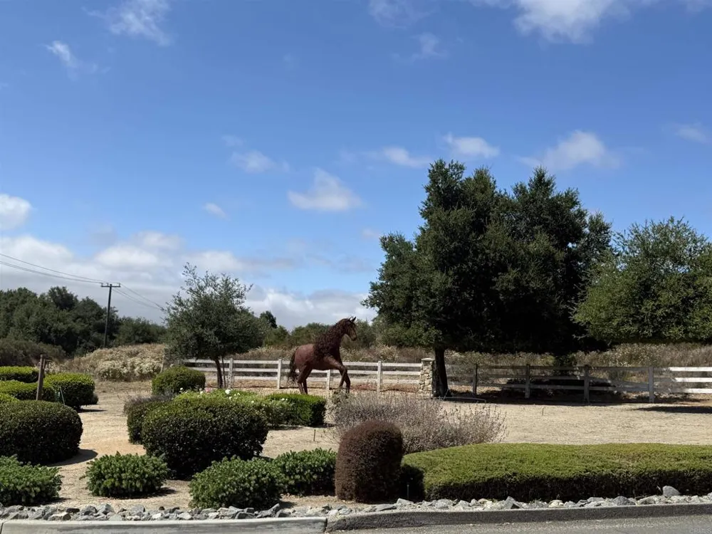 Calle Huerta Murrieta, CA 92562