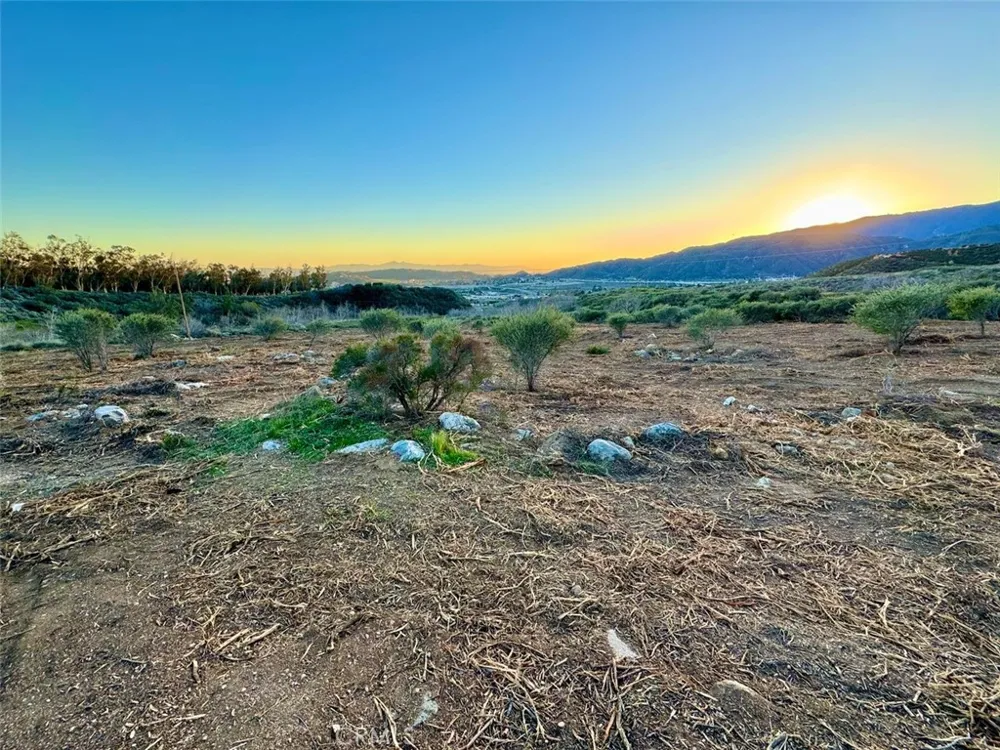 18681 Deercrest Estates Place Devore, CA 92407