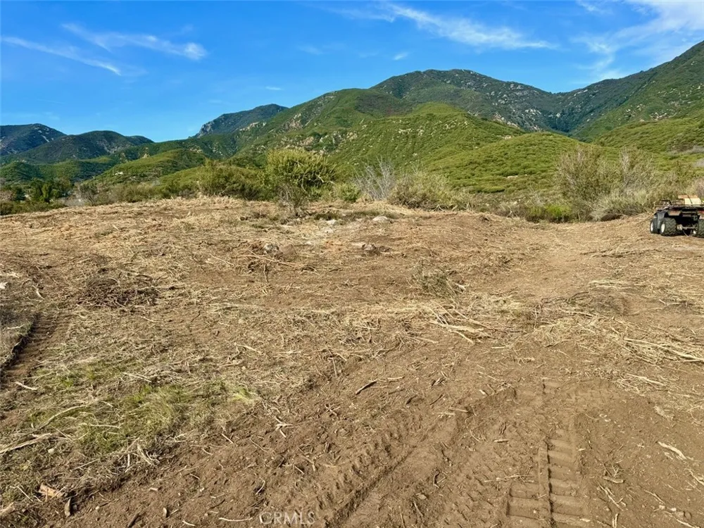18681 Deercrest Estates Place Devore, CA 92407