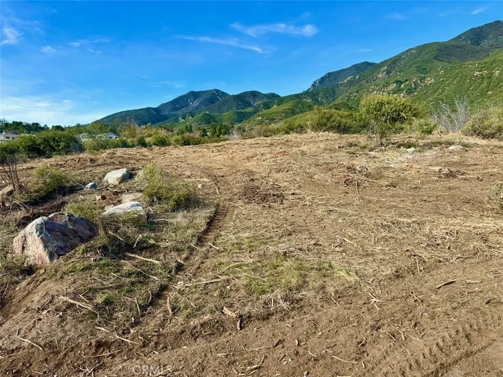 18681 Deercrest Estates Place Devore, CA 92407