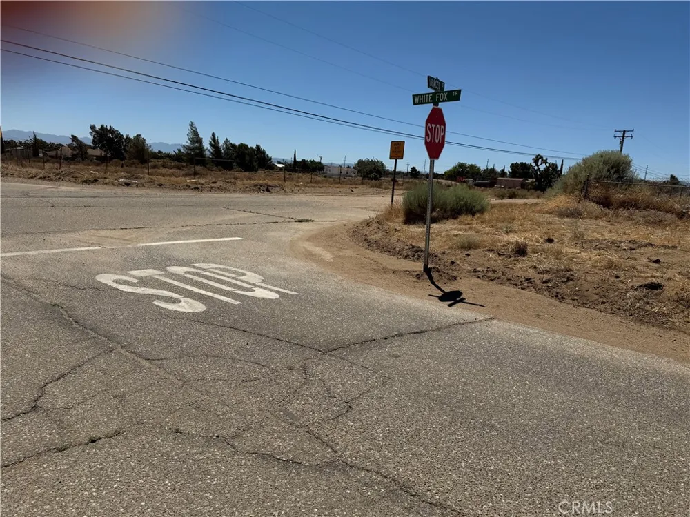 9875 Braceo Street Oak Hills, CA 92344