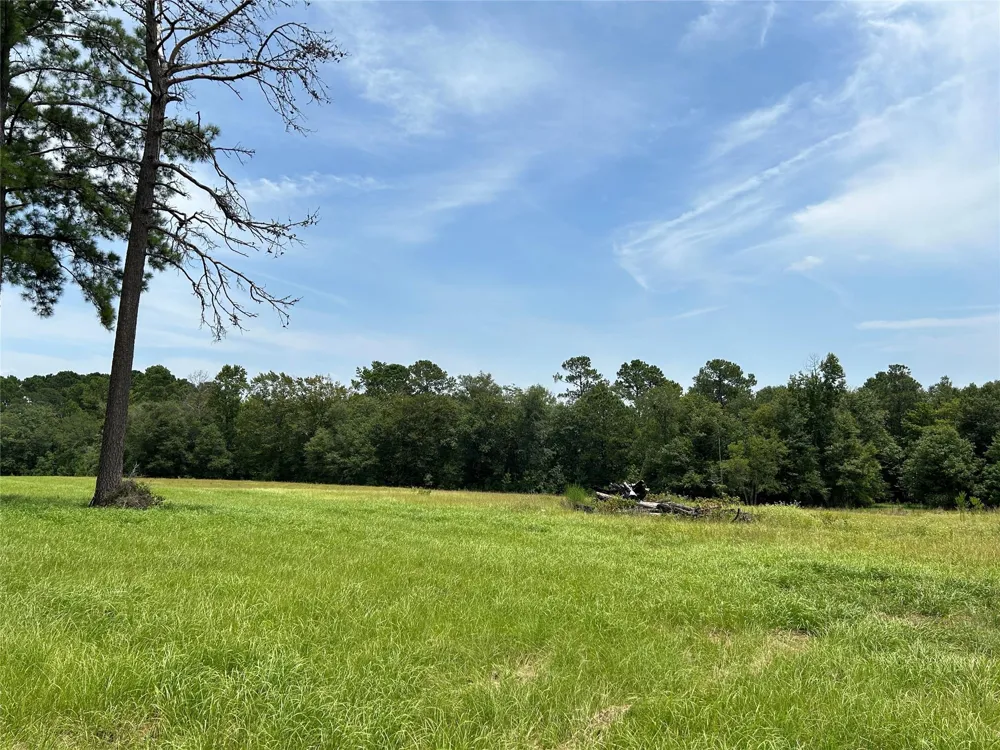 378 Madison Lake Loop Woodville, TX 75979
