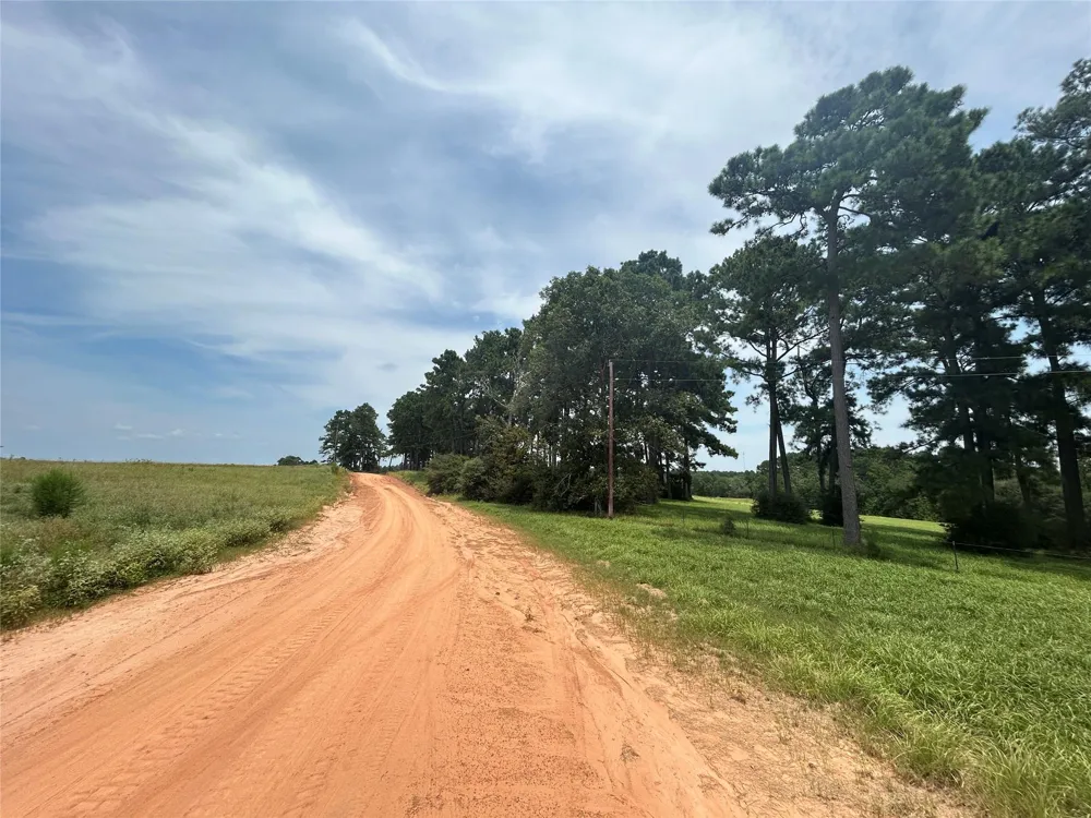 378 Madison Lake Loop Woodville, TX 75979