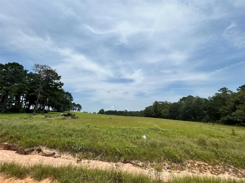 378 Madison Lake Loop Woodville, TX 75979