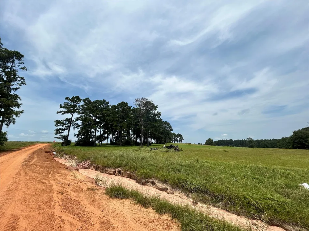 378 Madison Lake Loop Woodville, TX 75979
