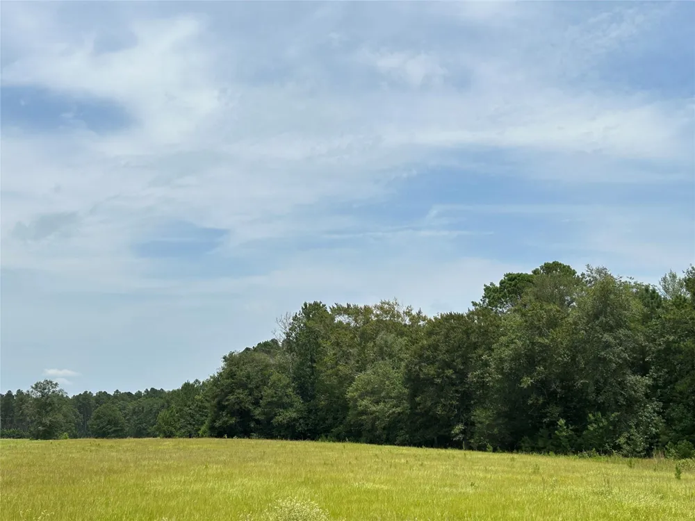 378 Madison Lake Loop Woodville, TX 75979