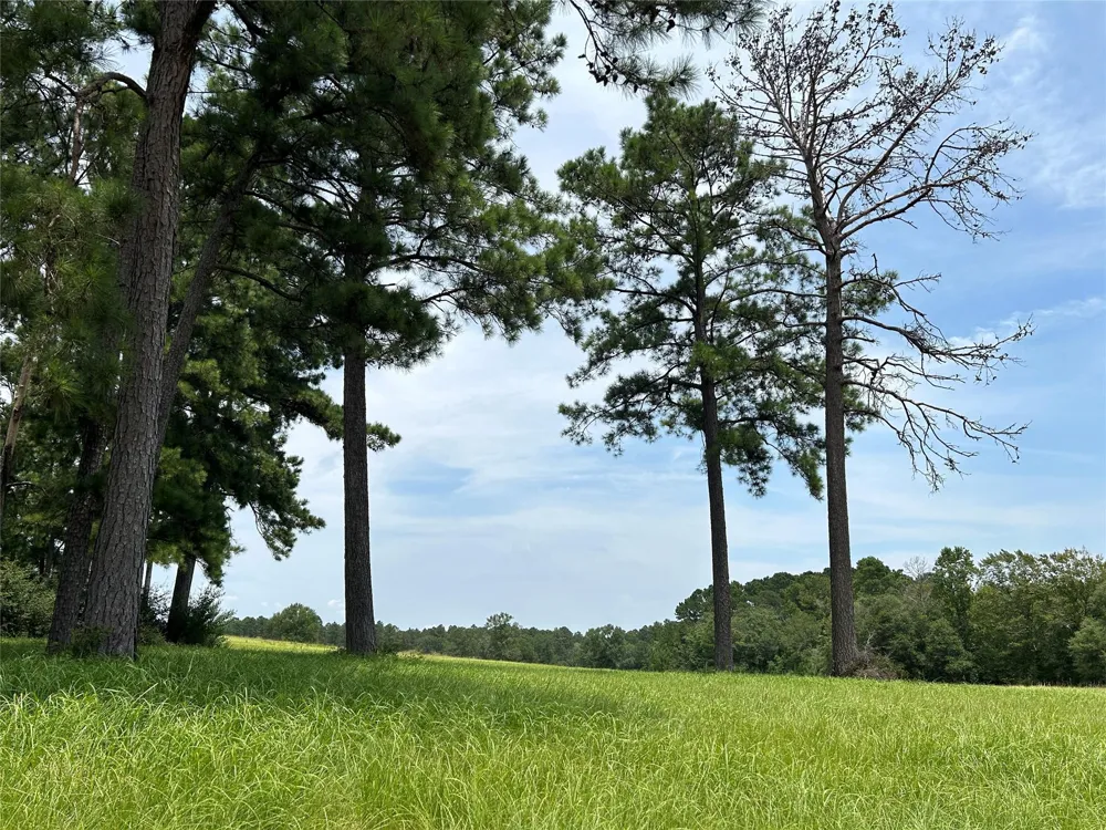 378 Madison Lake Loop Woodville, TX 75979
