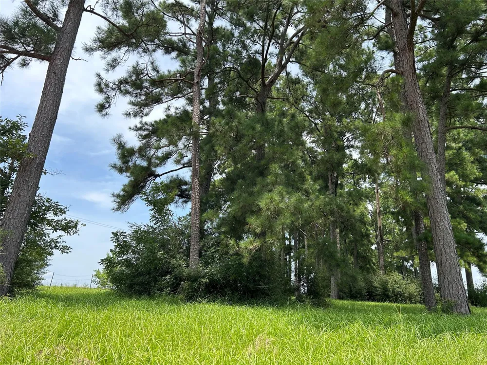 378 Madison Lake Loop Woodville, TX 75979