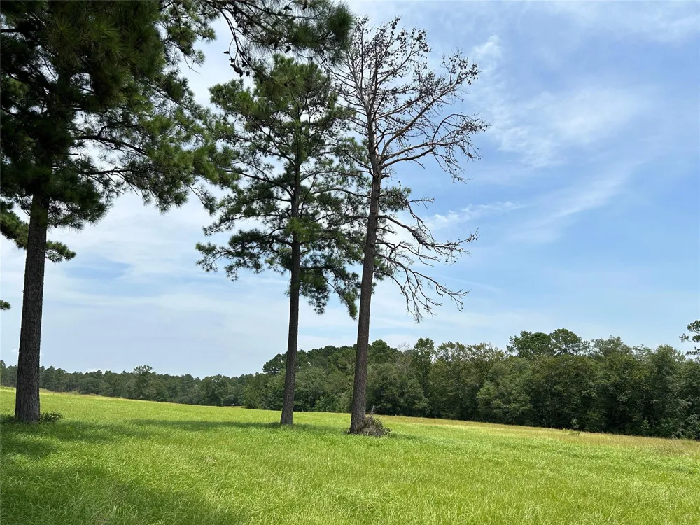 378 Madison Lake Loop Woodville, TX 75979