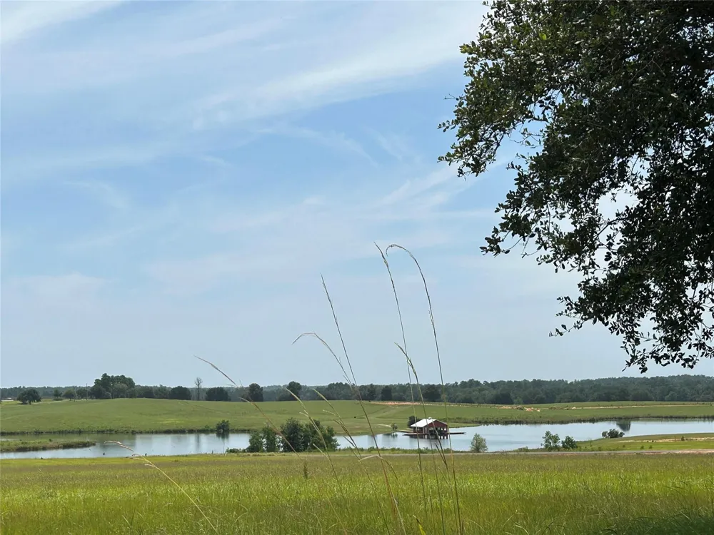 378 Madison Lake Loop Woodville, TX 75979