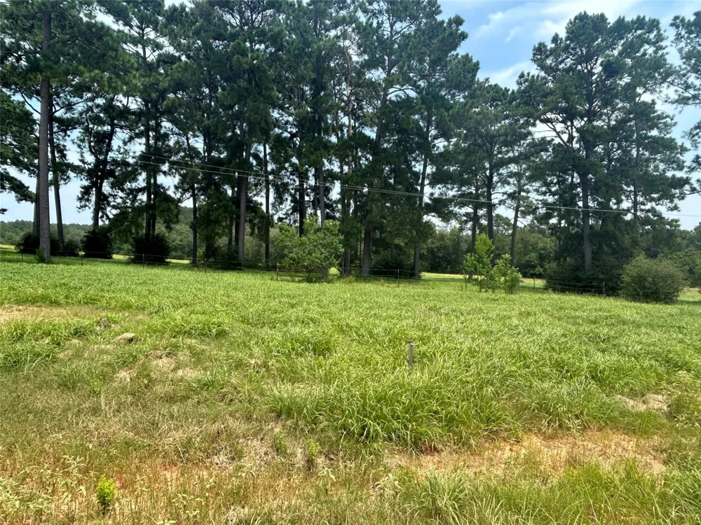 378 Madison Lake Loop Woodville, TX 75979