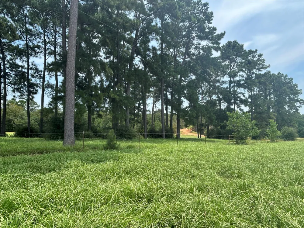 378 Madison Lake Loop Woodville, TX 75979
