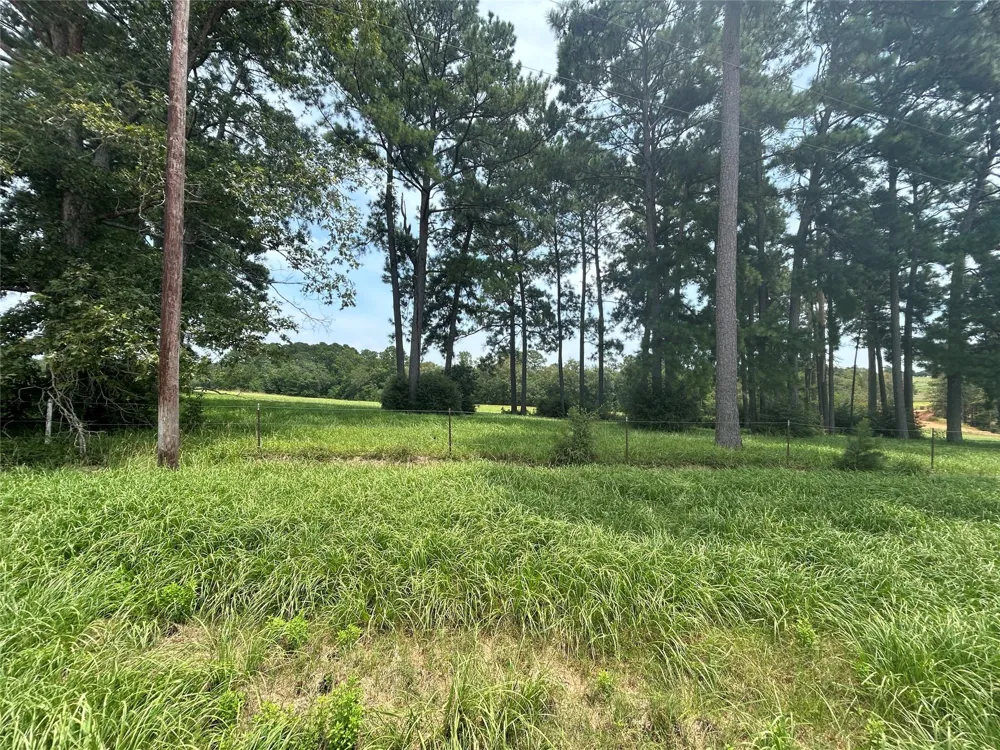 378 Madison Lake Loop Woodville, TX 75979