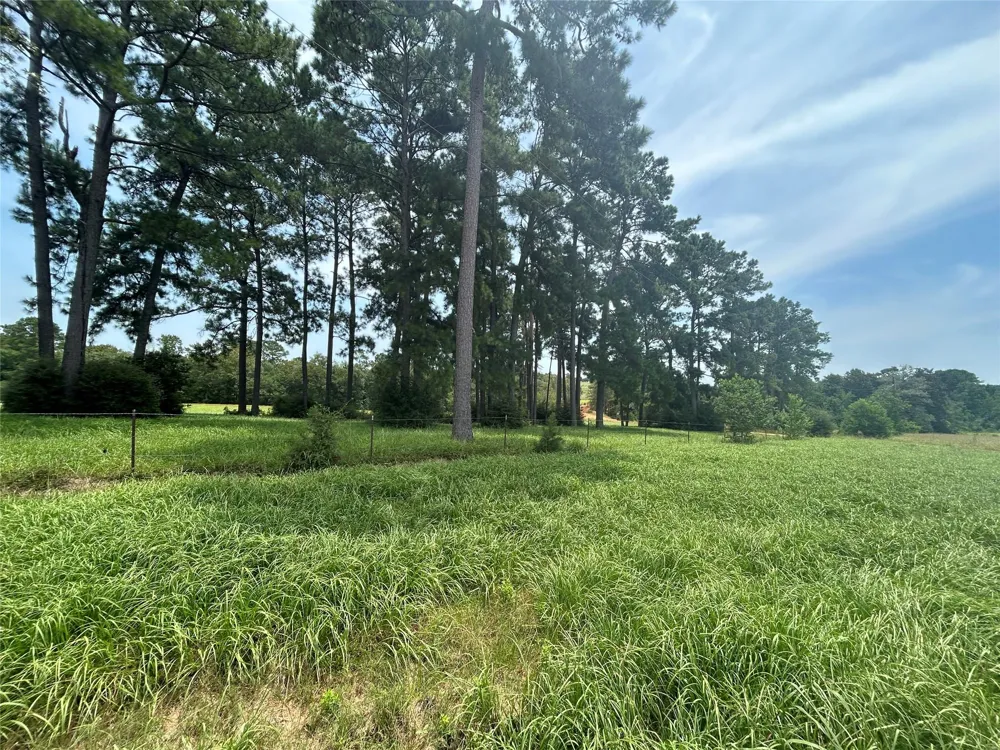 378 Madison Lake Loop Woodville, TX 75979