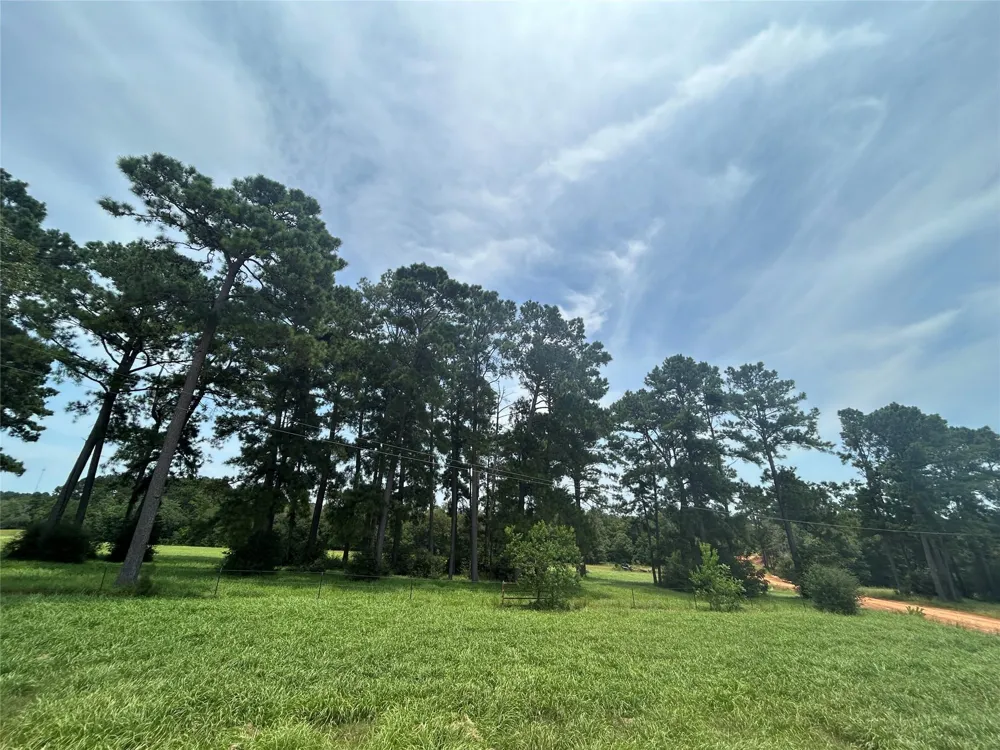 378 Madison Lake Loop Woodville, TX 75979