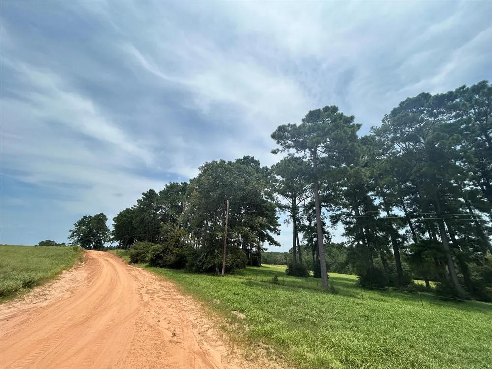 378 Madison Lake Loop Woodville, TX 75979