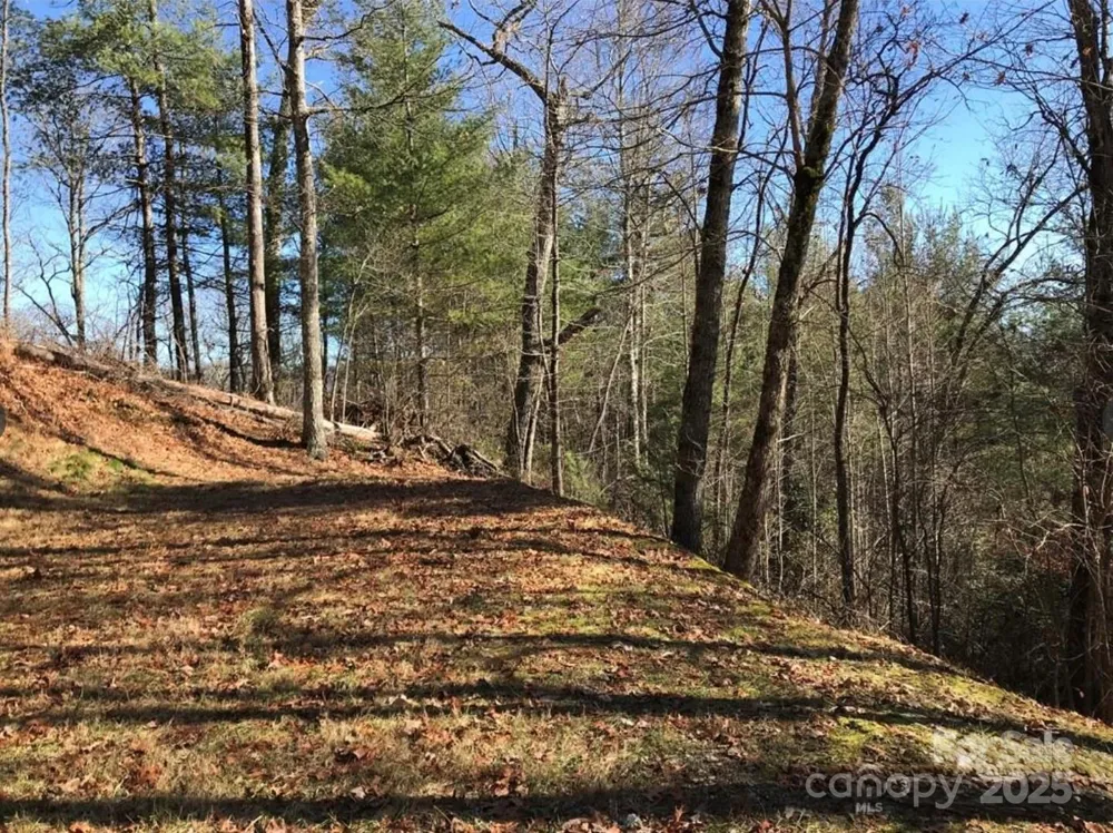 0 Saturn Way Topton, NC 28781