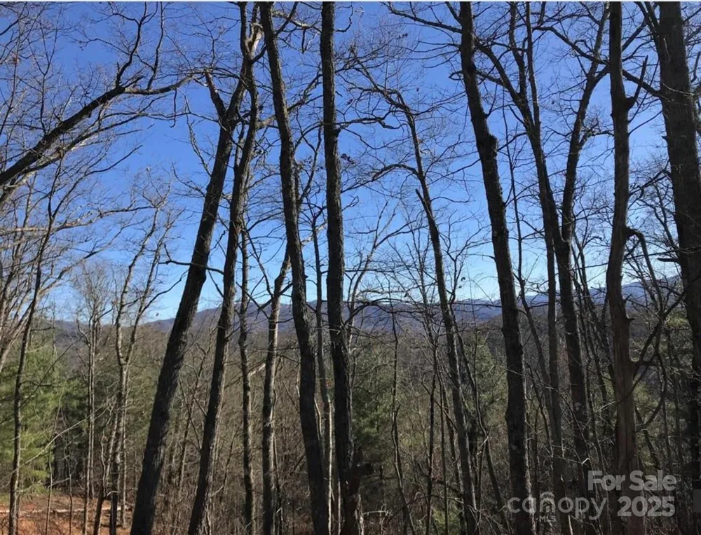 0 Saturn Way Topton, NC 28781