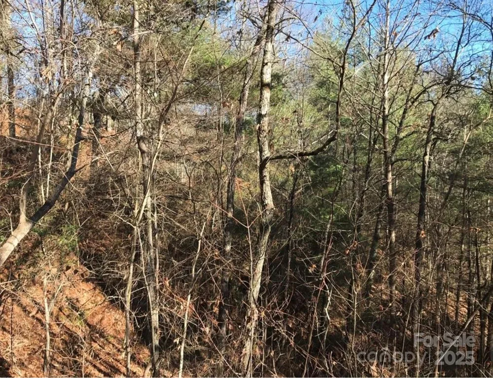 0 Saturn Way Topton, NC 28781