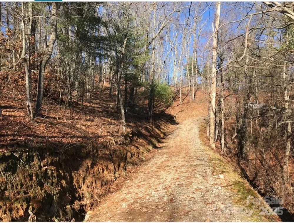 0 Saturn Way Topton, NC 28781