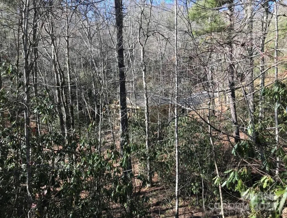 0 Saturn Way Topton, NC 28781