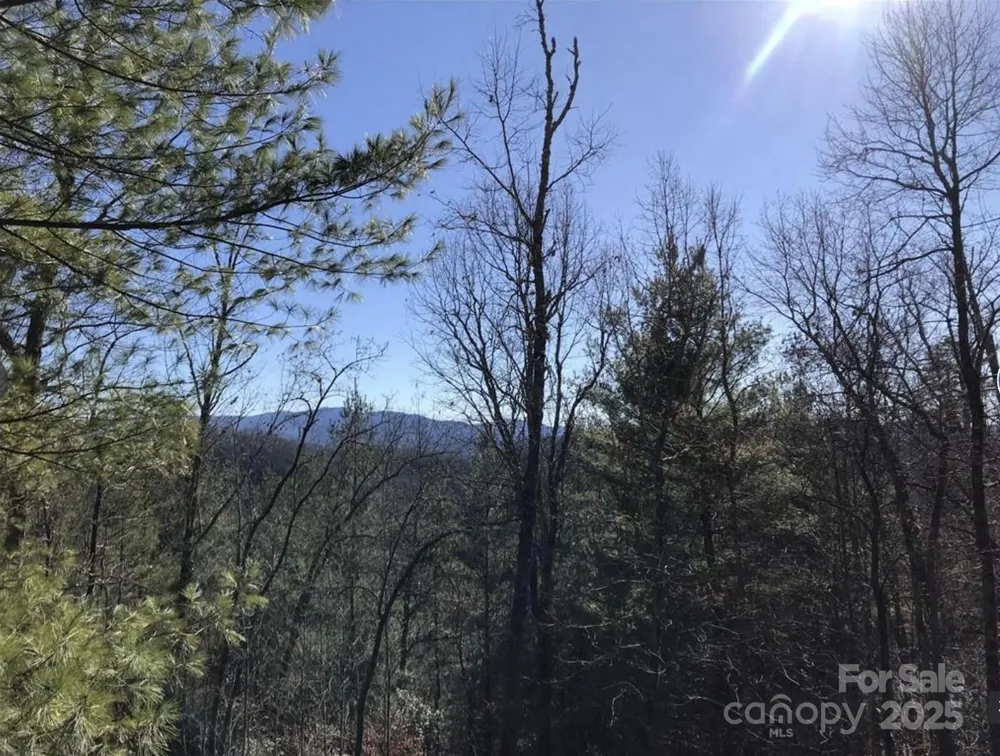 0 Saturn Way Topton, NC 28781