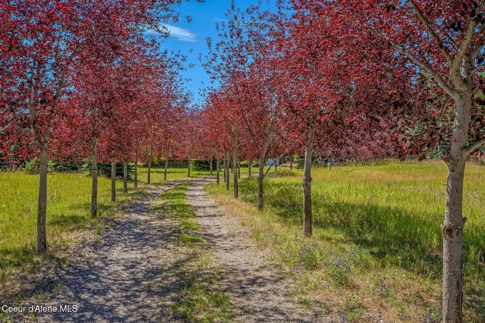 158 W Mountainview Road Moyie Springs, ID 83845