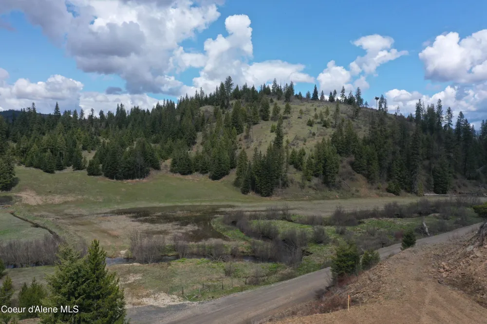 Lot 9 Patriot's Paradise Fernwood, ID 83830