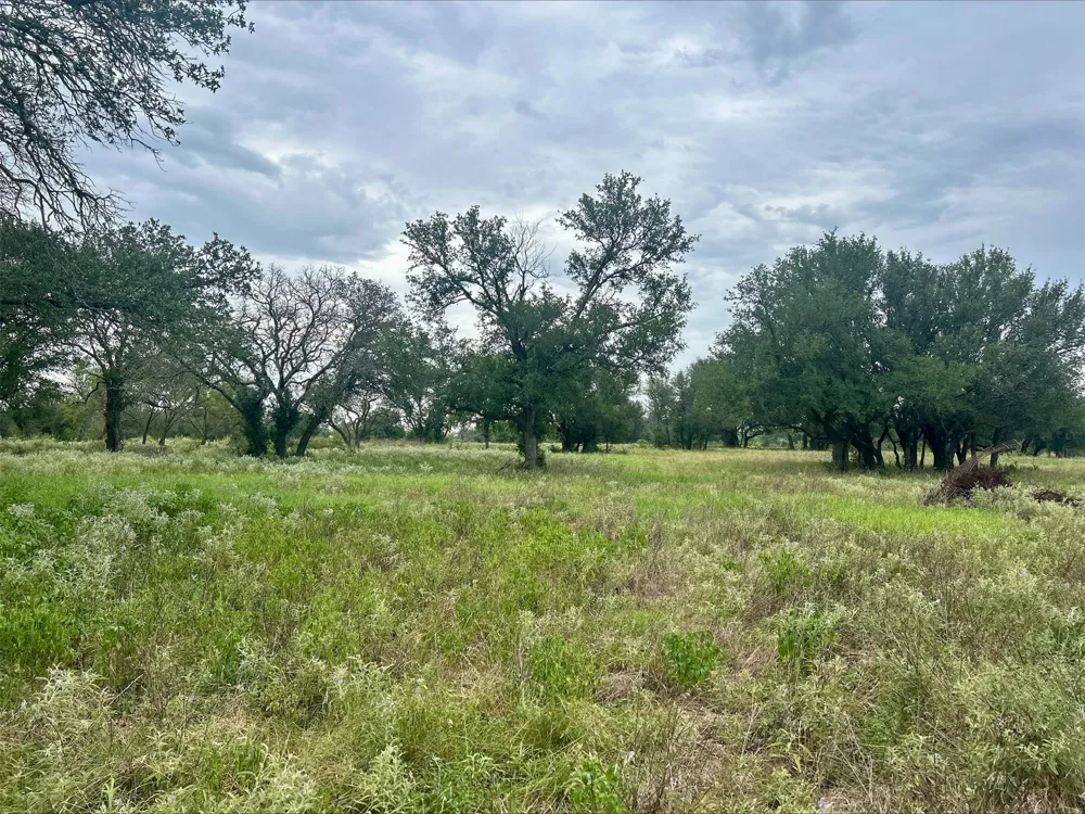 County Road 380 Dublin, TX 76446