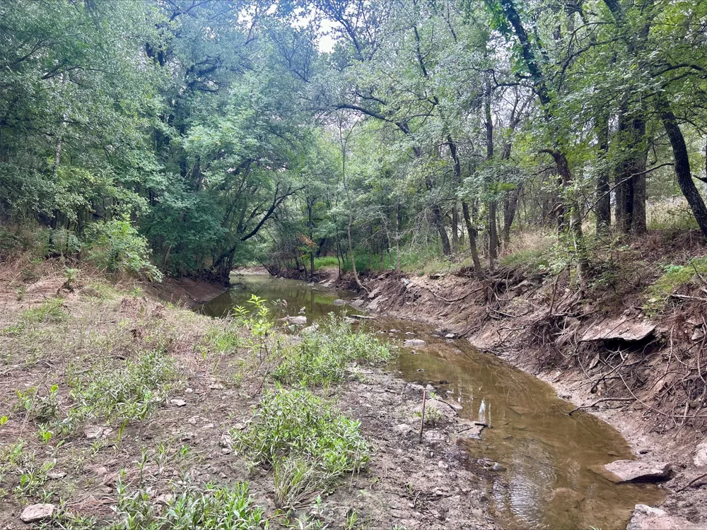 County Road 380 Dublin, TX 76446