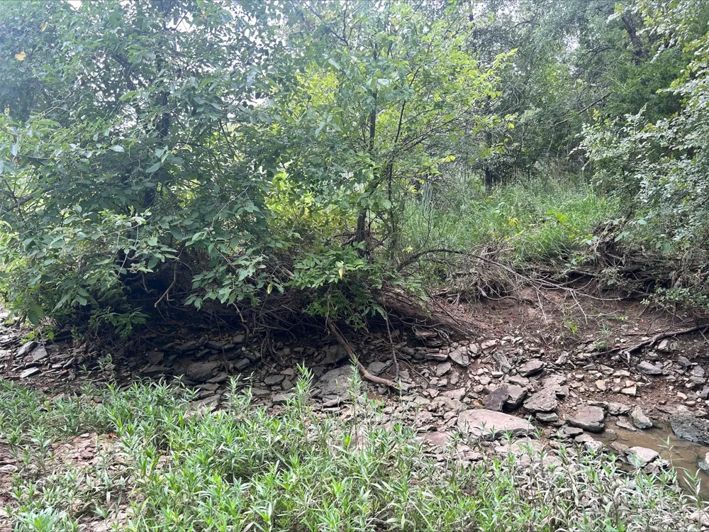 County Road 380 Dublin, TX 76446