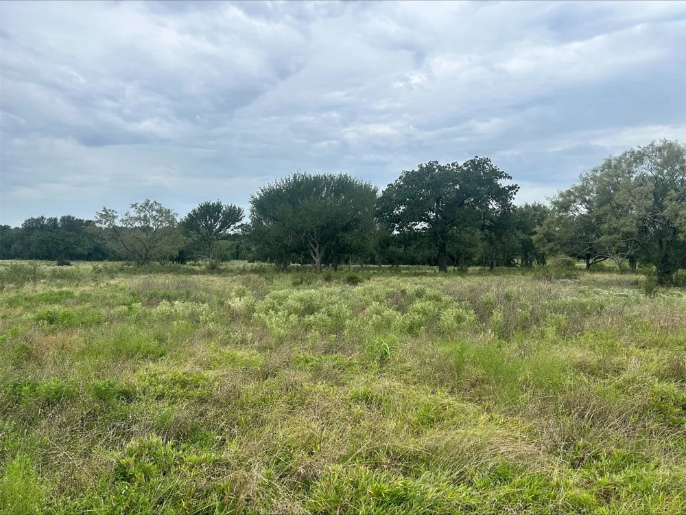 County Road 380 Dublin, TX 76446