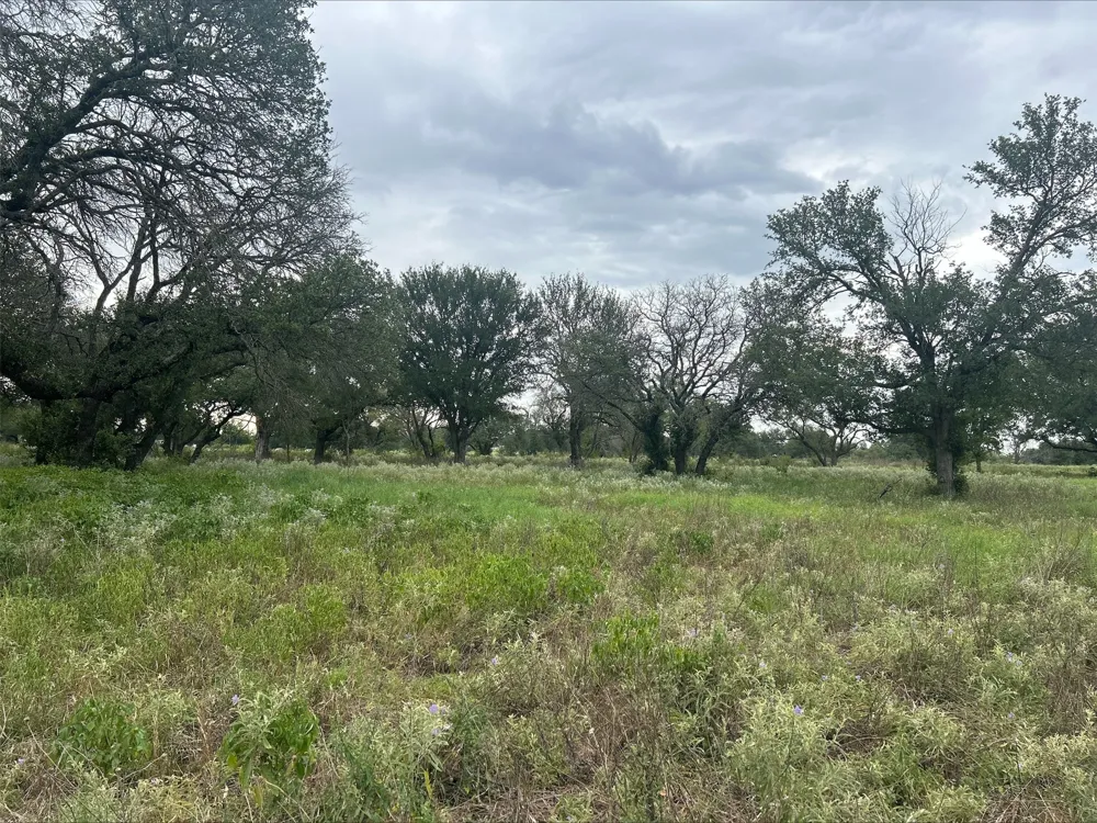 County Road 380 Dublin, TX 76446