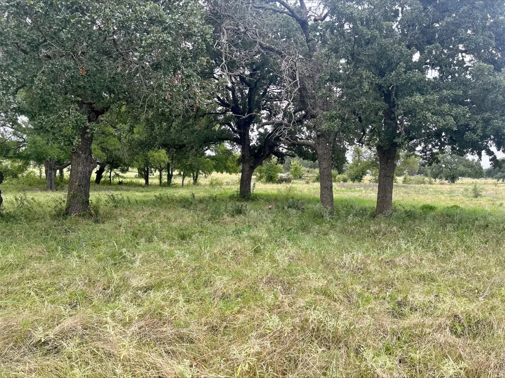 County Road 380 Dublin, TX 76446
