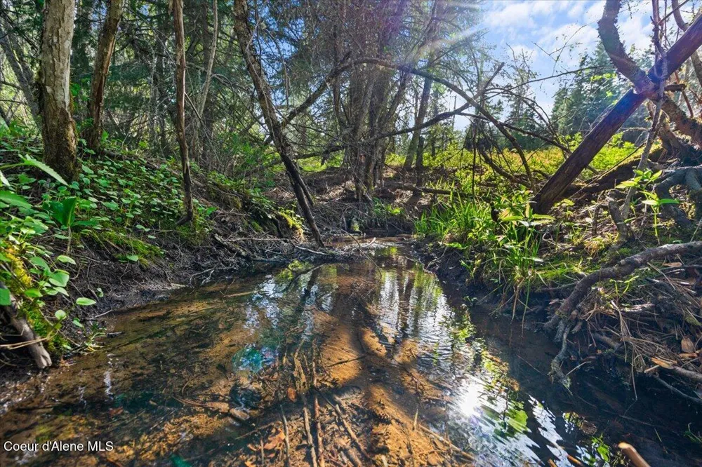 NKA Mutch Creek Road St. Maries, ID 83861