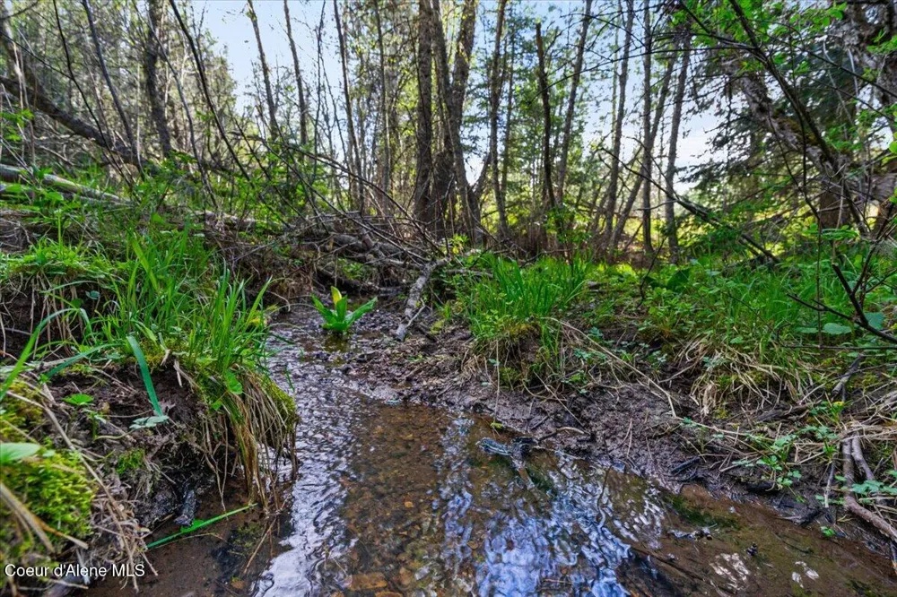 NKA Mutch Creek Road St. Maries, ID 83861
