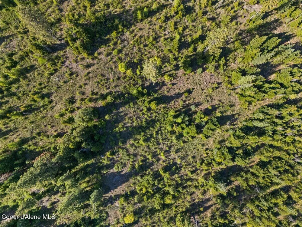 NKA Mutch Creek Road St. Maries, ID 83861