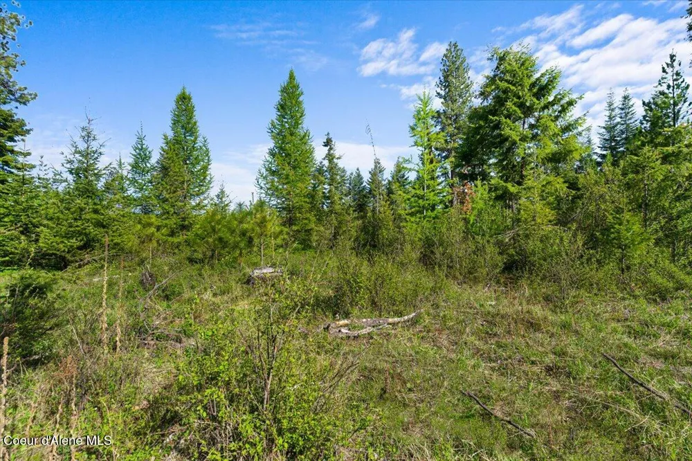 NKA Mutch Creek Road St. Maries, ID 83861