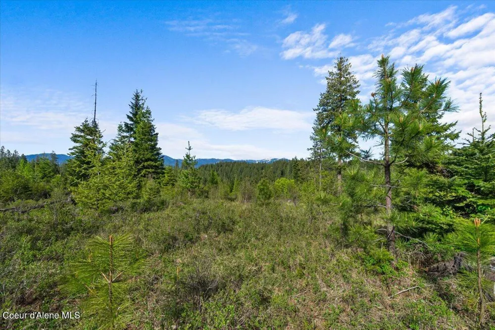 NKA Mutch Creek Road St. Maries, ID 83861