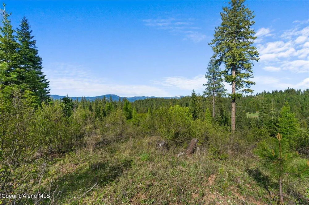 NKA Mutch Creek Road St. Maries, ID 83861