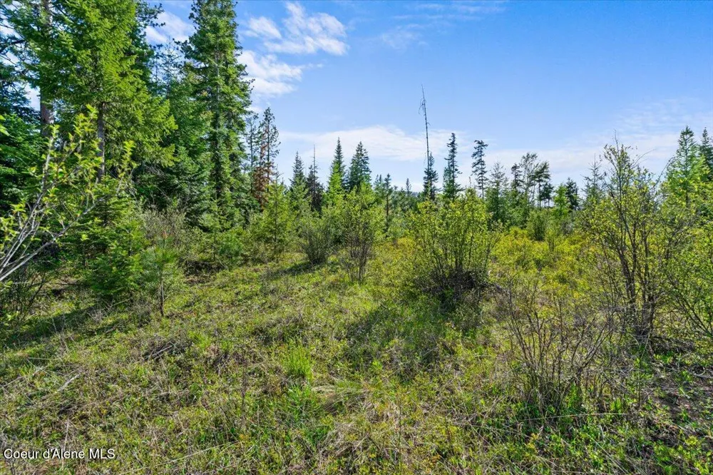 NKA Mutch Creek Road St. Maries, ID 83861